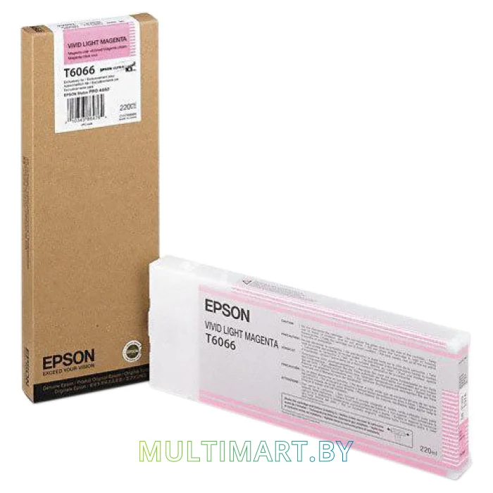 Картридж Epson C13T606600